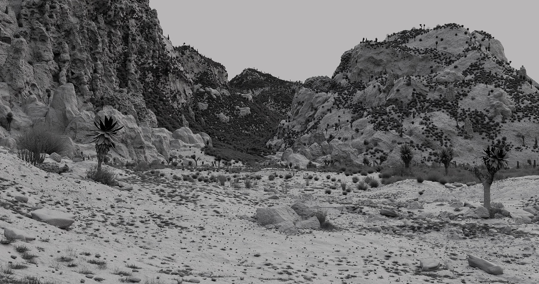 O_036_HM_0020_v482_grey4_v3.1001