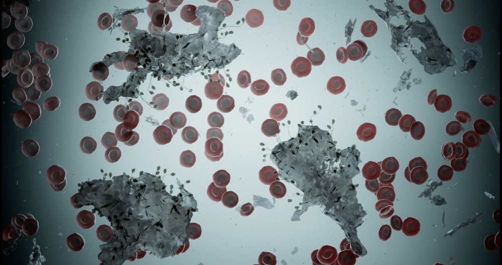 THROUGH THE LOOKING GLASS | Primary Visual Effects collaborated with Artisan to produce the microscope VFX shots