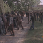 The Walking Dead screenshot