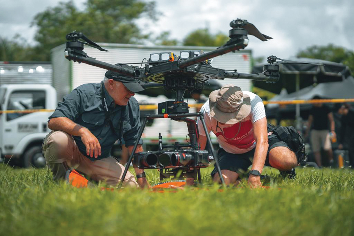 Paddington In Peru Paddington In Peru