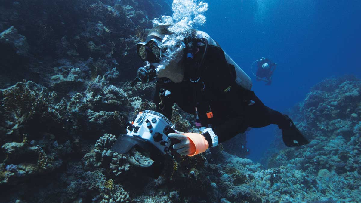 RED-SEA-LOGO-STILL-31 Macro lenses were used when filming to reveal the slow, almost imperceptible movements of coral polyps